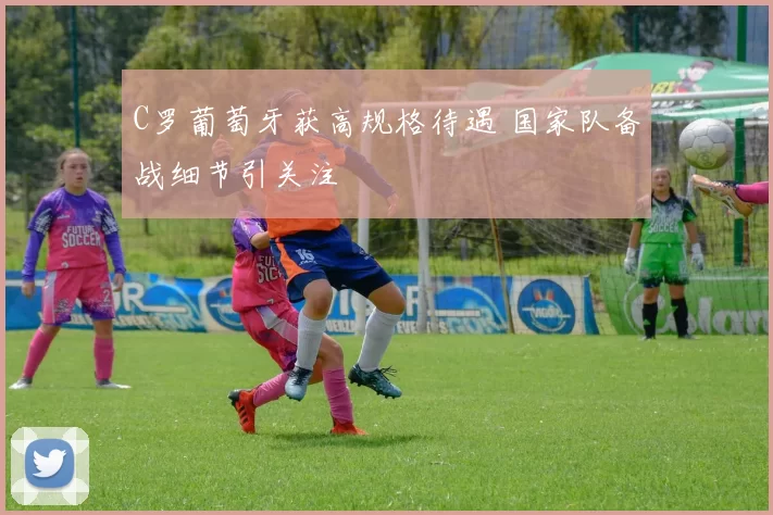 C罗葡萄牙获高规格待遇 国家队备战细节引关注