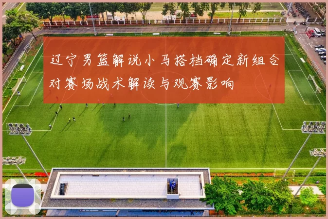 辽宁男篮解说小马搭档确定新组合对赛场战术解读与观赛影响